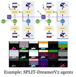 SPLIT: Out-of-distribution Generalization with Granularity Biased Variational Autoenscoder
