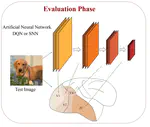 Deep Reinforcement Learning Models Predict Visual Responses in the Brain: A Preliminary Results